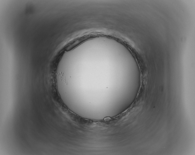 X0000112041496200908171500