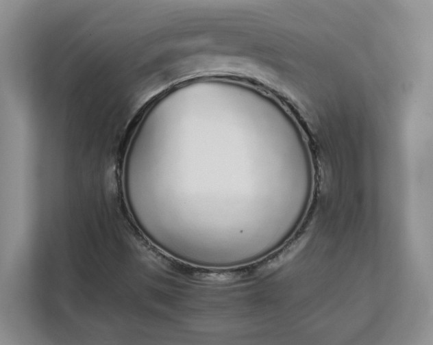 X0000112041497200908171500