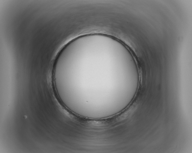 X0000112041500200908171500