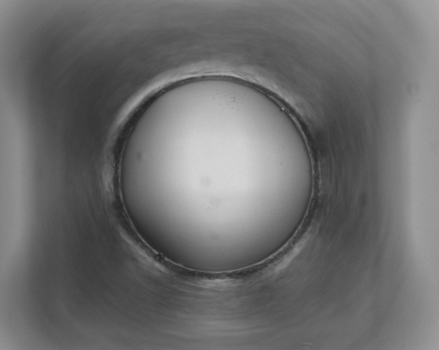 X0000112041502200908171500