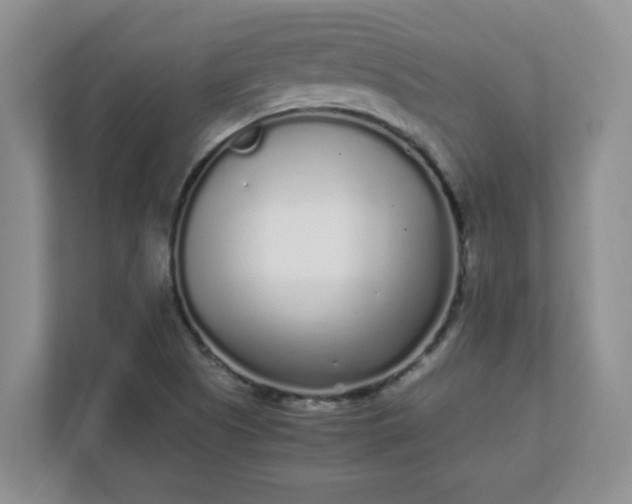 X0000112041505200908171500