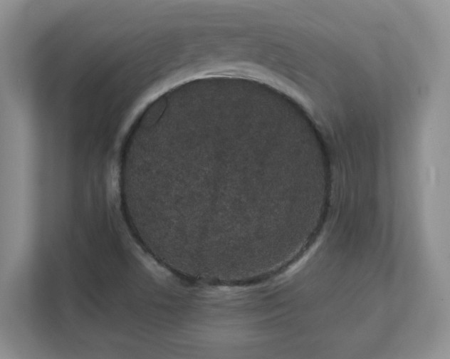 X0000112041506200908171500