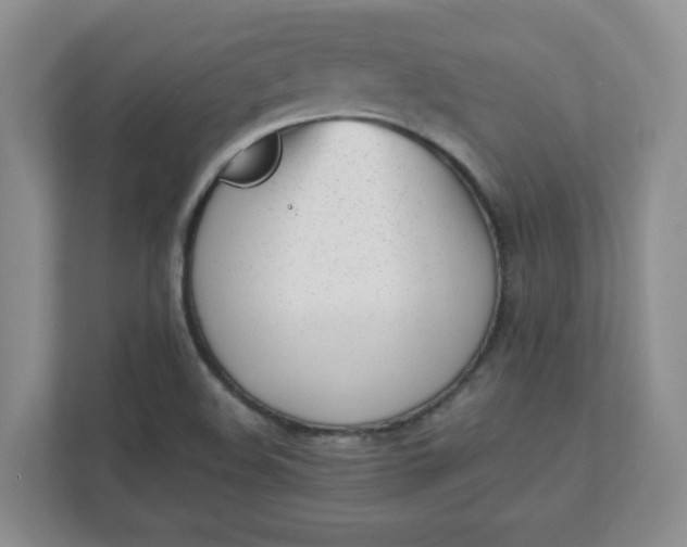 X0000112041508200908171500