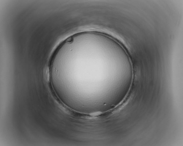 X0000112041509200908171500