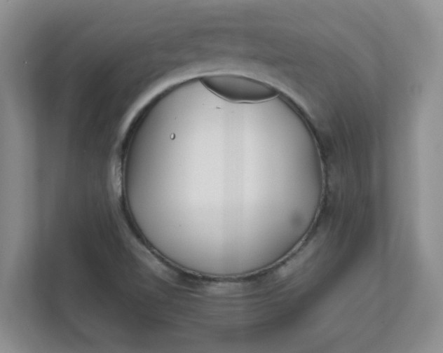 X0000112041510200908171500