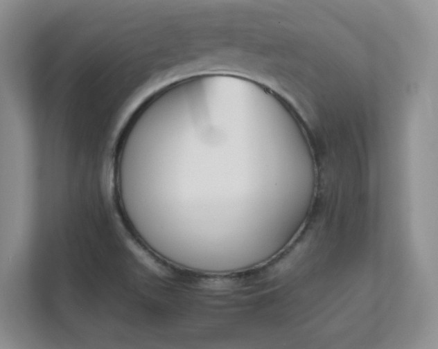 X0000112041511200908171500