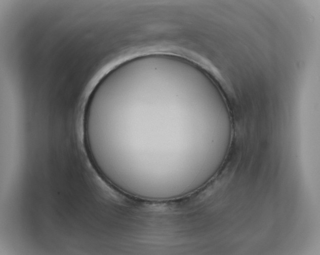 X0000112041512200908171500