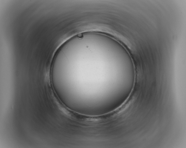 X0000112041513200908171500