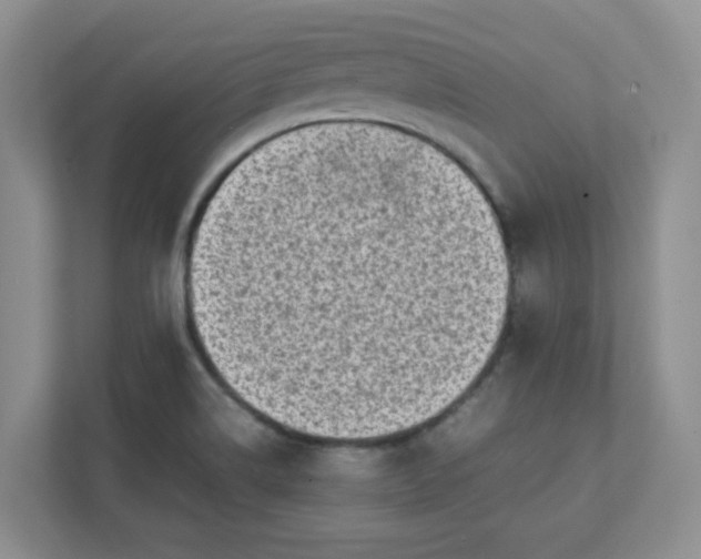 X0000112041514200908171500