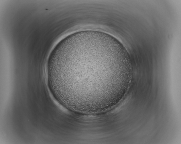 X0000112041515200908171500