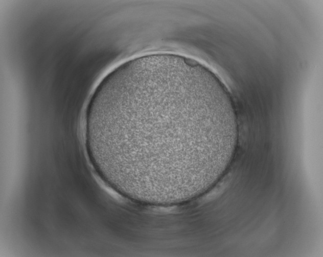 X0000112041519200908171501