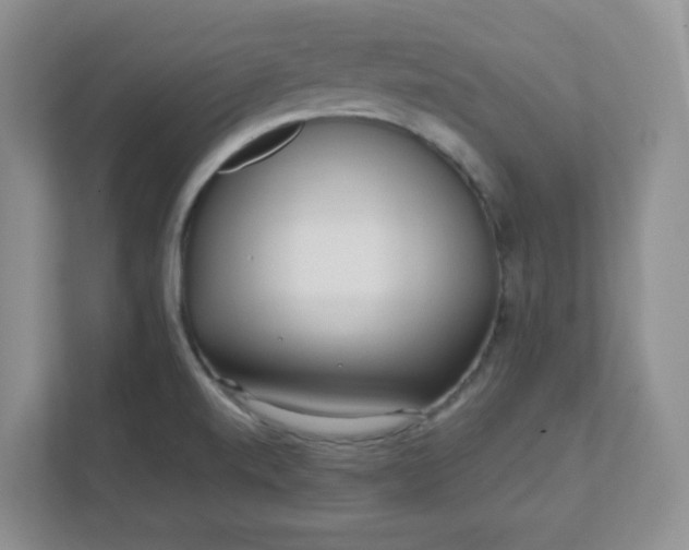 X0000112041520200908171501
