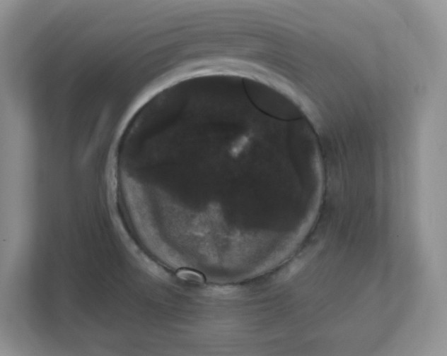 X0000112041522200908171501