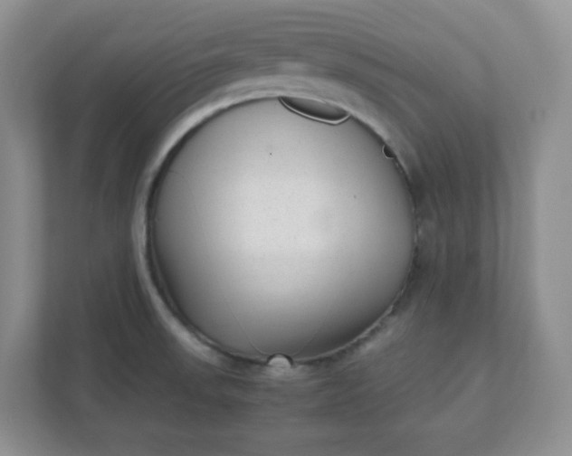 X0000112041523200908171501