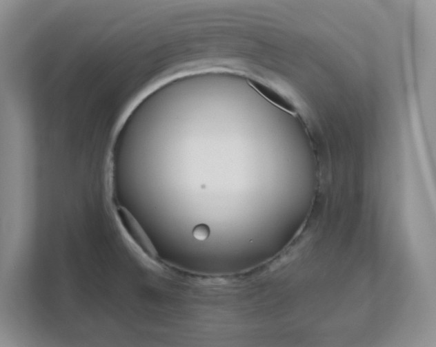 X0000112041524200908171501