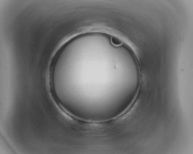 X0000112041525200908171501