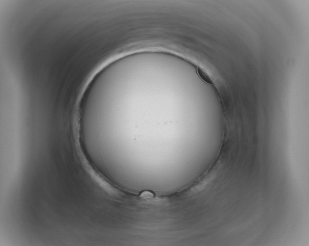 X0000112041526200908171501