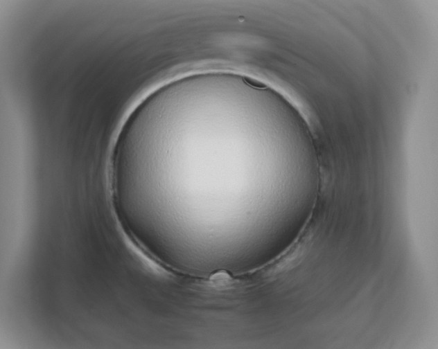 X0000112041527200908171501
