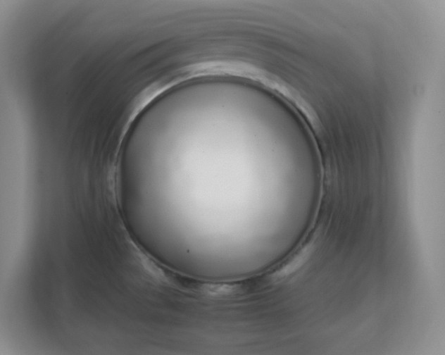 X0000112041529200908171501