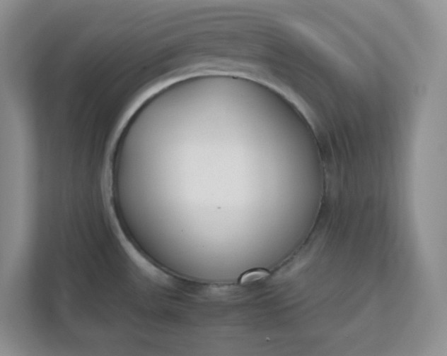 X0000112041531200908171501