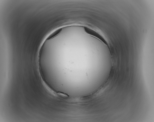 X0000112041532200908171501