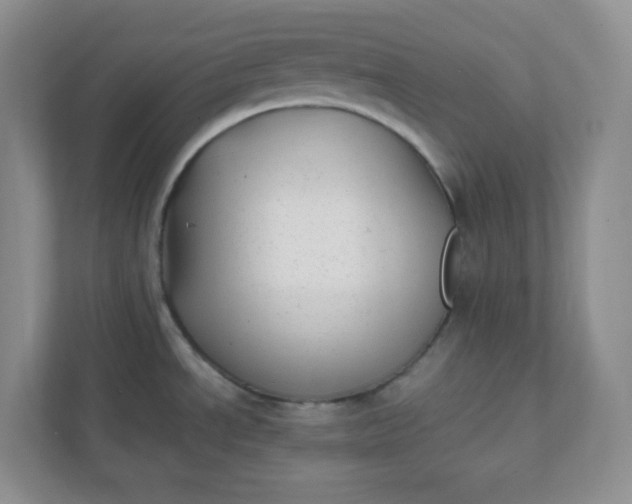 X0000112041534200908171501