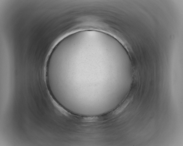 X0000112041535200908171501