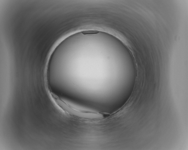X0000112041536200908171501