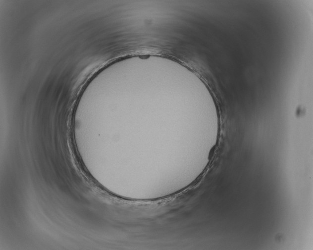 X0000112040001200908241614