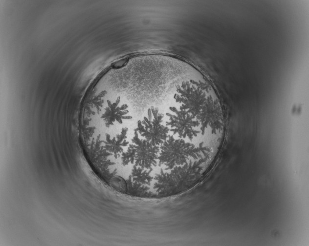 X0000112040002200908241614