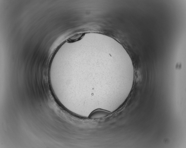 X0000112040004200908241614
