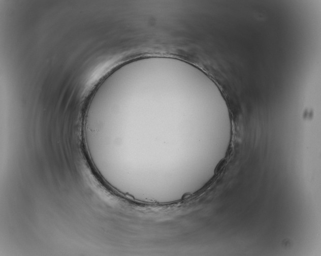 X0000112040005200908241614