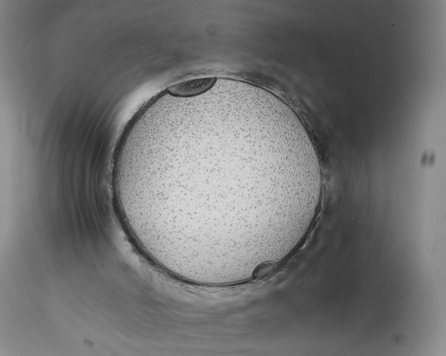 X0000112040006200908241614