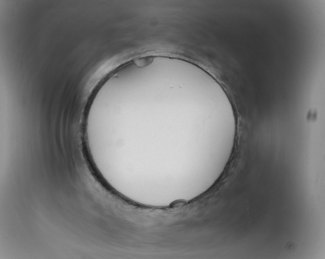 X0000112040007200908241614