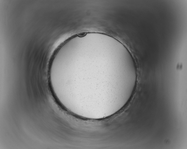 X0000112040008200908241614