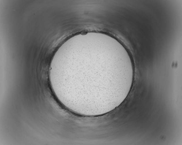 X0000112040009200908241614