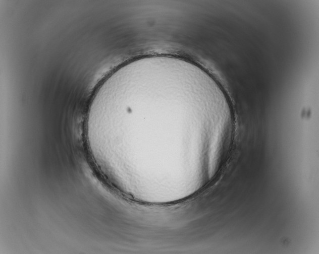 X0000112040010200908241613
