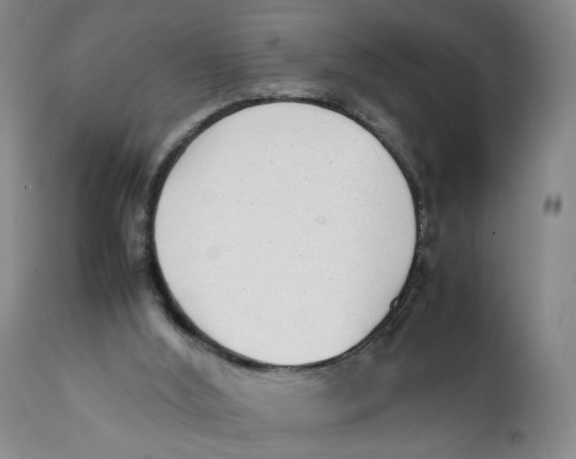 X0000112040012200908241613