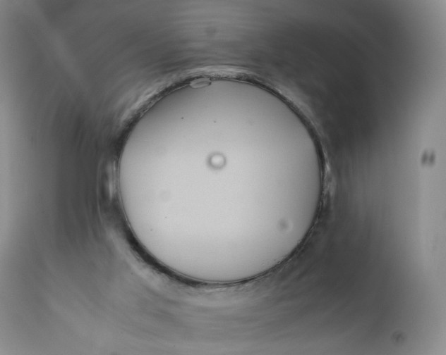 X0000112040013200908241613