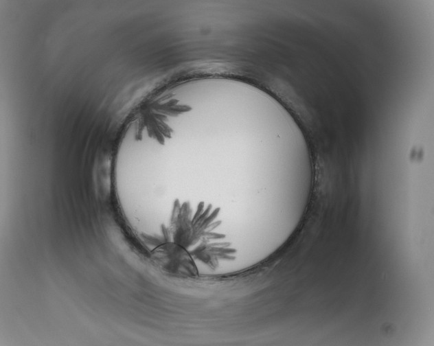 X0000112040014200908241613