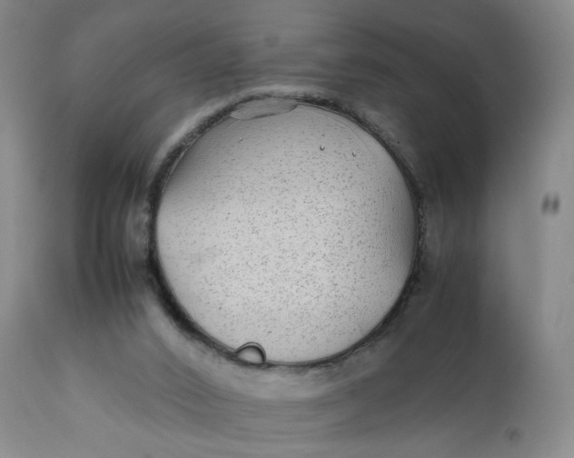 X0000112040016200908241613