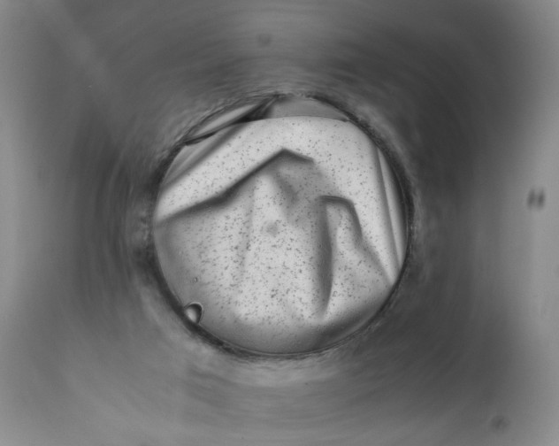X0000112040017200908241613