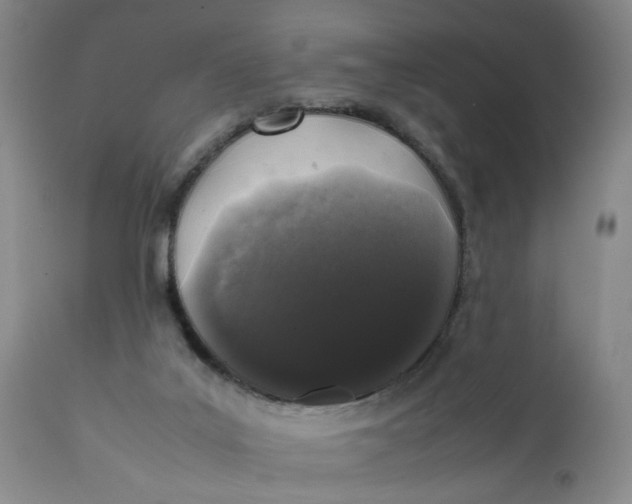 X0000112040019200908241613