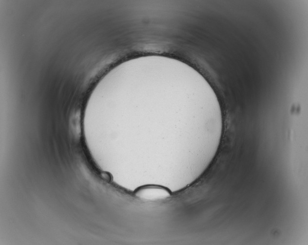 X0000112040020200908241613