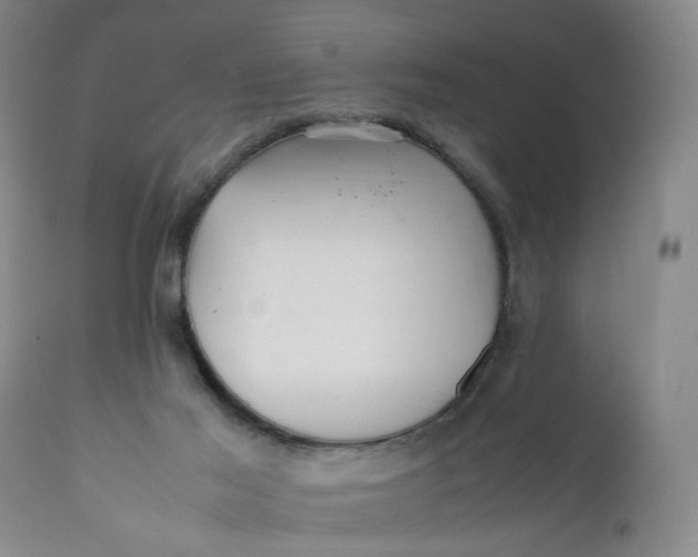 X0000112040021200908241613