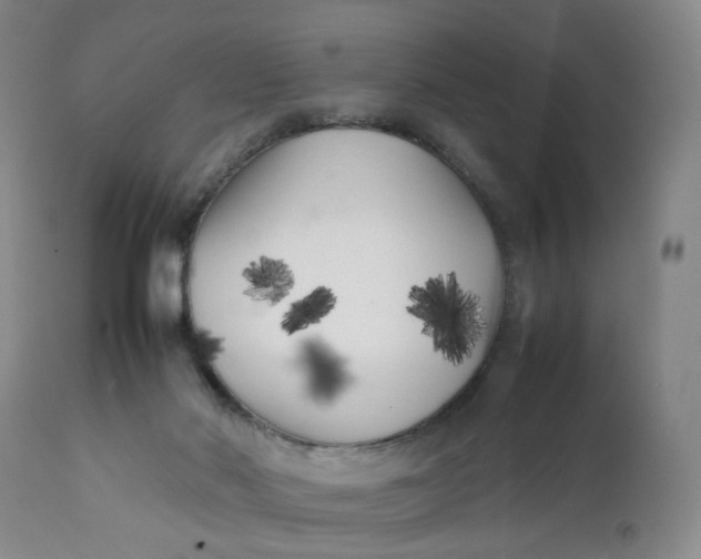 X0000112040022200908241613