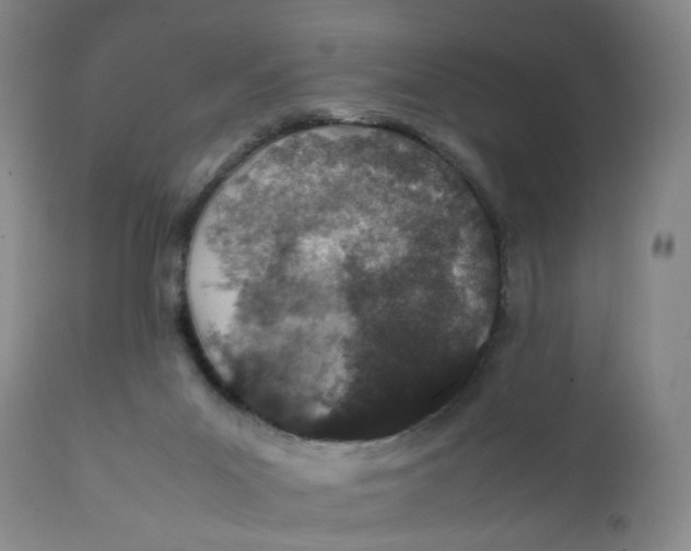 X0000112040023200908241613
