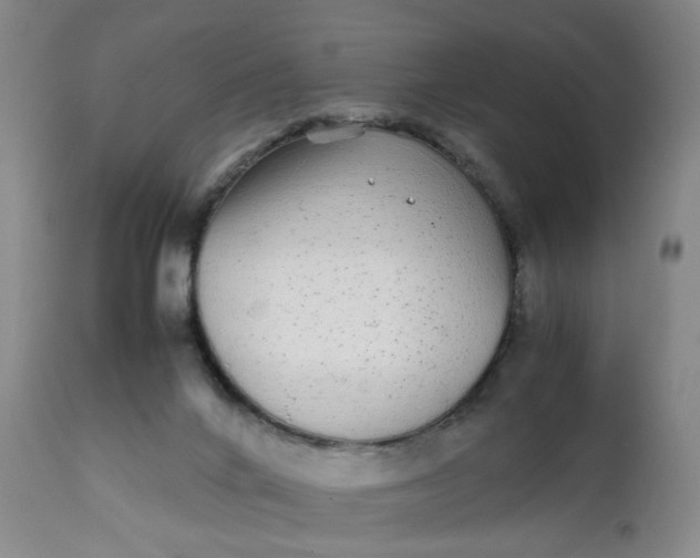 X0000112040024200908241613