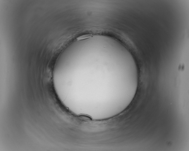 X0000112040025200908241613