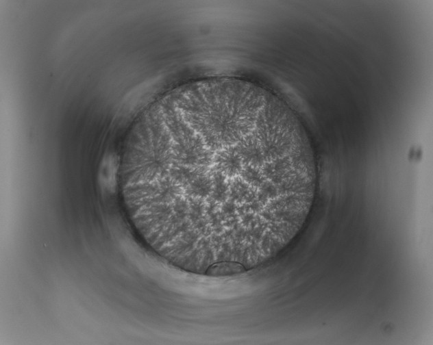 X0000112040026200908241613
